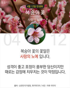 4월 12일 탄생화 &#39;복숭아 꽃&#39;