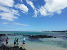지역에 따라 골라가자, 국내 청정 해수욕장 &#39;제주도&#39;