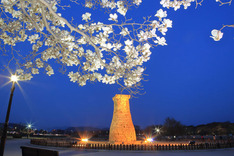 걷는 곳곳 그림 같은 경주에서 인생 사진 남겨볼까