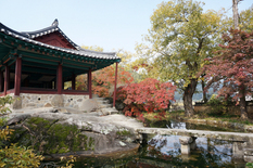 &#39;고즈넉한 아름다움이 있는&#39; 9월에 걷기 좋은 길 10선