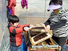 설 연휴에 즐길 수 있는 어촌체험마을 5곳