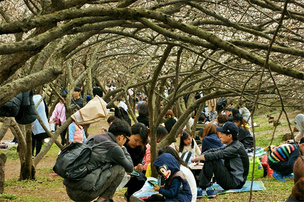 코레일 추천, 3월 기차 타고 가기 좋은 여행지
