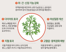 몸에 좋은 &#39;쑥&#39;의 효능은?