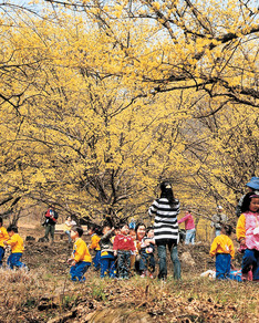 향기로운 꽃과 청량한 숲길을 느끼며 걷기 좋은 길 10선