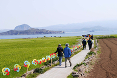 2017 전통시장 봄내음 축제, 푸드앤와인페스티벌 등 5월 제주도 축제 모음
