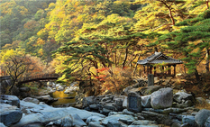 5월에 가면 좋은 국립공원 힐링로드 6곳