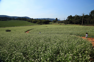 여기에서 찍으세요~! 전국 &#39;셀프 웨딩촬영 명소&#39;