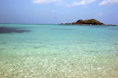 여름휴가철 꼭 가봐야 할 국내 ‘청정 해수욕장 20곳’ 