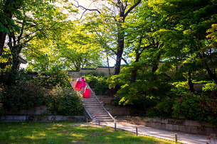 역사와 문화가 함께하는 서울시 녹음길 4곳