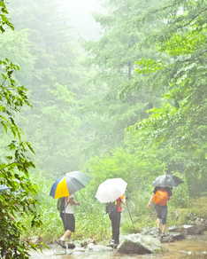 나무 그늘이 우거져 상쾌하게 걷기 좋은 숲길 10선