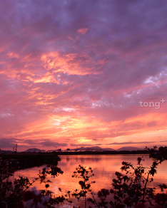 한여름 밤에 걸으면 좋은 전국의 길 10선