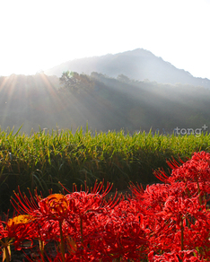 여행 떠나기 좋은 9월, 전국 가볼 만한 축제 6선