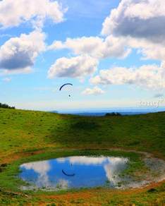 신비한 숲의 숨결을 느끼다…&#39;9월 제주 추천 여행 10선&#39;