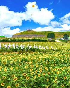 올가을 감성 충전 100%… 낭만적인 가을 축제 6선