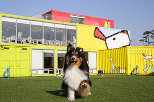 캠핑장, 골프장, 병원까지…&#39;전국 이색 고속도로 휴게소&#39;