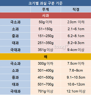 사과·배 고를 때 가장 인기라는 중간 크기의 기준은?