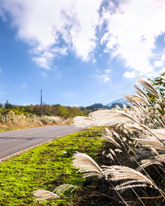 &#39;10월 제주&#39;를 여행하면 해봐야 할 10가지