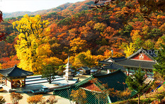 제부도, 안성 팜랜드, 김포아라마리나…경기도 유망 관광지 10곳