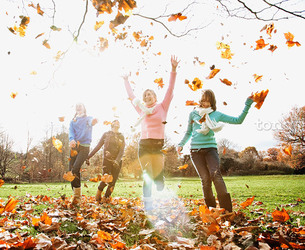 어느 호텔로 가볼까?…국내 호텔 가을 트레킹&피크닉 패키지 5선
