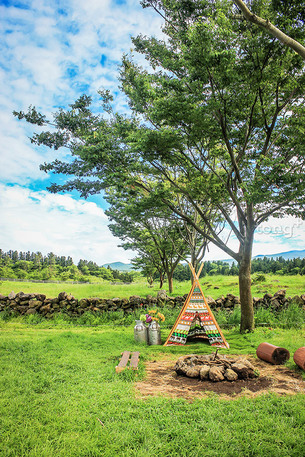 봄 향기 나는 제주도 여행…&#39;3월 놓치지 말아야 할 9가지&#39;