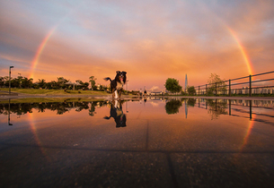 '햇살', '바람', '날씨'를 사진에 담았다…아름다운 기상사진 수상작