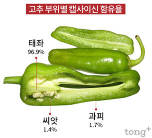 고추의 가장 매운 부분은 어디일까?