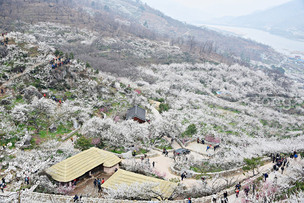 주말에 가기 좋은 &#39;국내 여행지 4곳&#39;의 볼거리, 즐길거리, 먹거리