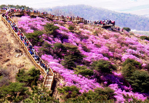 4월이 되면 더욱 예쁜 인천 여행지…&#39;인천 나들이 명소와 봄꽃 축제&#39;