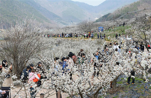 4월에 조심해야 하는 재난안전사고 4가지