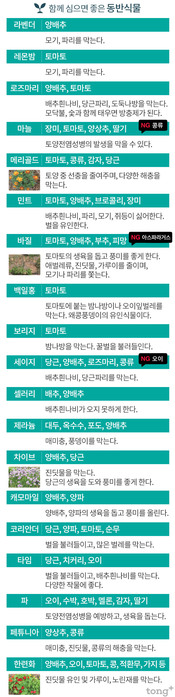 함께 심으면 좋은 ‘궁합 맞는 텃밭 식물’