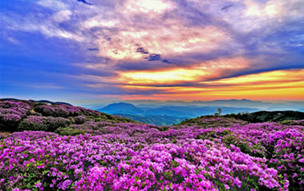 혼자보다는 둘이 가면 더 좋은 곳…로케이션 매니저가 추천하는 &#39;2인 여행지&#39;