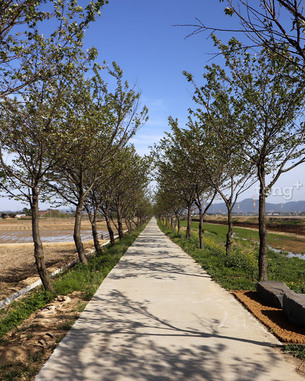 푸르른 녹음으로 울창해진 &#39;5월에 걷기 좋은 길&#39;