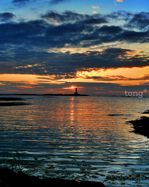 놀거리, 먹거리, 볼거리 등 7월 제주도 여행가면 해봐야 할 것