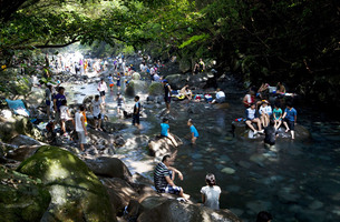 제주도 천혜의 자연을 제대로 느낄 수 있는 힐링 프로그램 &#39;에코파티&#39;