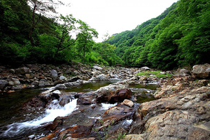 전국의 집배원 2만명이 추천…&#39;휴가철 가기 좋은 숨은 명소 78곳&#39;