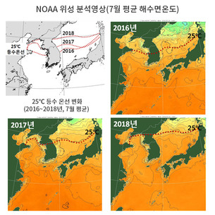 10년 새 2배 이상 높아진 여름철 바다 수온, 그 이유는?