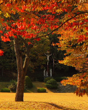 울긋불긋 단풍 즐기며 걸을까? &#39;경기도 걷기 좋은 단풍길 6곳&#39;
