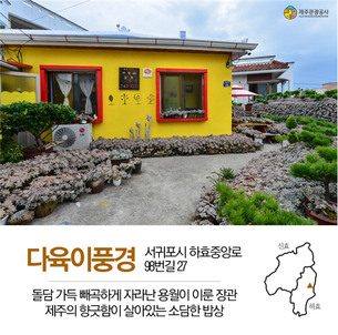 제주에서 가장 따뜻한 마을…감귤과 돌담이 어우러진 &#39;제주 효돈마을&#39;