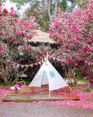 새해 맞아 제주도 갈까? 1월 제주도 꼭 가봐야 할 명소 10곳