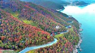 환상적인 해안도로 드라이브 할 수 있는 &#39;남해안 해안경관도로 15선&#39;