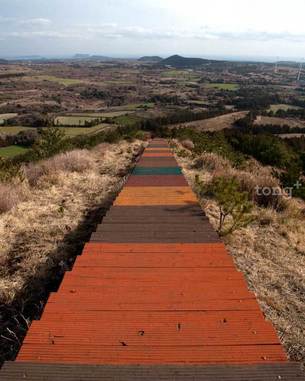 비양도, 영주산, 제주 빈티지 식당 등 2월에 꼭 가봐야 할 제주도 여행 명소