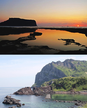 [한국관광 100선] 봄이 가장 빨리 오는 제주도 여행지 9곳