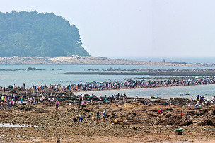 2월에 가면 좋은 곳… 낙조와 신비의 바닷길 볼 수 있는 &#39;무창포항 방파제등대&#39;