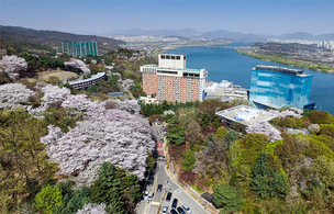 올봄 꽃캉스 갈까? 전국 주요 봄꽃 명소에 위치한 호텔 