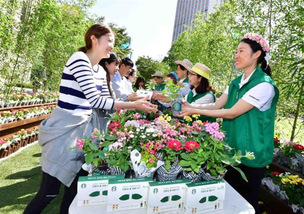 4월 29일 서울광장에서 스타벅스 텀블러와 화분 받는 방법