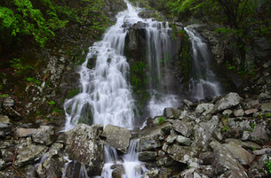 [영상] 쉽게 볼 수 없는 국립공원 절경 VR로 본다…국립공원 주요 명소 VR 가상탐방 영상 공개