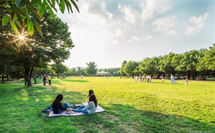 ‘어린이날 놀이한마당’, ‘초록놀이터’, ‘어린이 정원의 날’, ‘서울동화축제’, &#39;서울 서커스 페스티벌&#39; 등 서울 어린이날 가 볼만한 곳