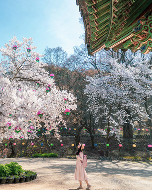 대흥사, 통도사, 봉정사, 마곡사 등 마음 정화하며 걷기 좋은 국내 사찰 7곳 