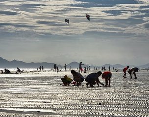 일곱 빛깔의 이색적인 바다…부산 해수욕장 7곳