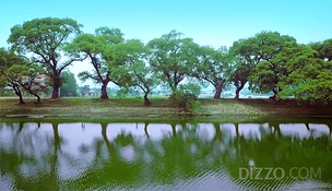 인생사진 찍으러 경북으로 떠날까…사진 찍기 좋은 곳으로 소문난 &#39;경북 명소 8곳&#39;